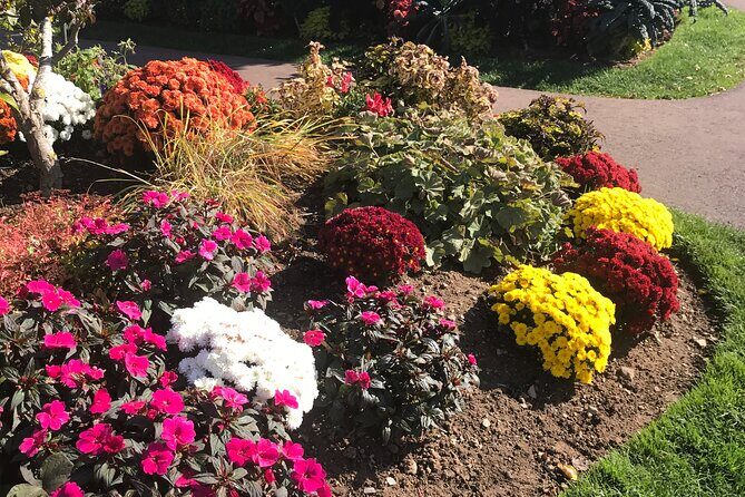 Valley Wine Tour. You will buy your own wine and meals. - The Sum Up: Is the Valley Wine Tour Worth It?