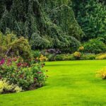 Vancouver 1-Day city tour - Authentic Experiences & Real Traveler Feedback