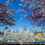 Vancouver: 24 or 48-Hour Hop-On Hop-Off Trolley Tour Pass - What to Expect from the Experience