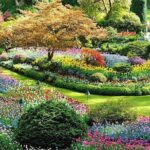 Vancouver 3 Days Budget Tour With Victoria & Whistler - Who Should Consider This Tour?