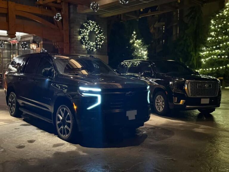 Vancouver: Airport to Downtown Chauffeur-Guided Tour - What Travelers Say