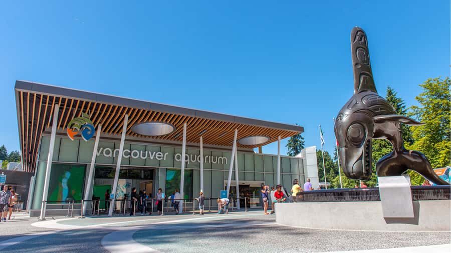 Vancouver Aquarium: Skip-the-Line Ticket - What Makes This Tour Stand Out?