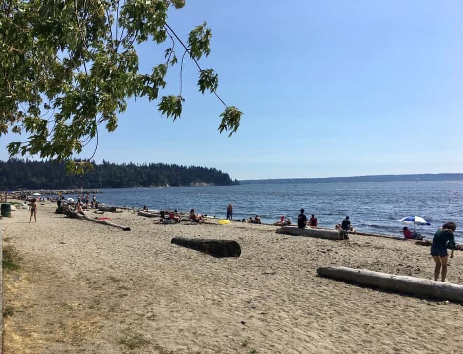 Vancouver Beaches Private Guided Tour - Sea to City - Why This Tour Works for Travelers