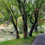 Vancouver Botanical Gardens & Museum Private Explorer - Practical Details and What to Expect