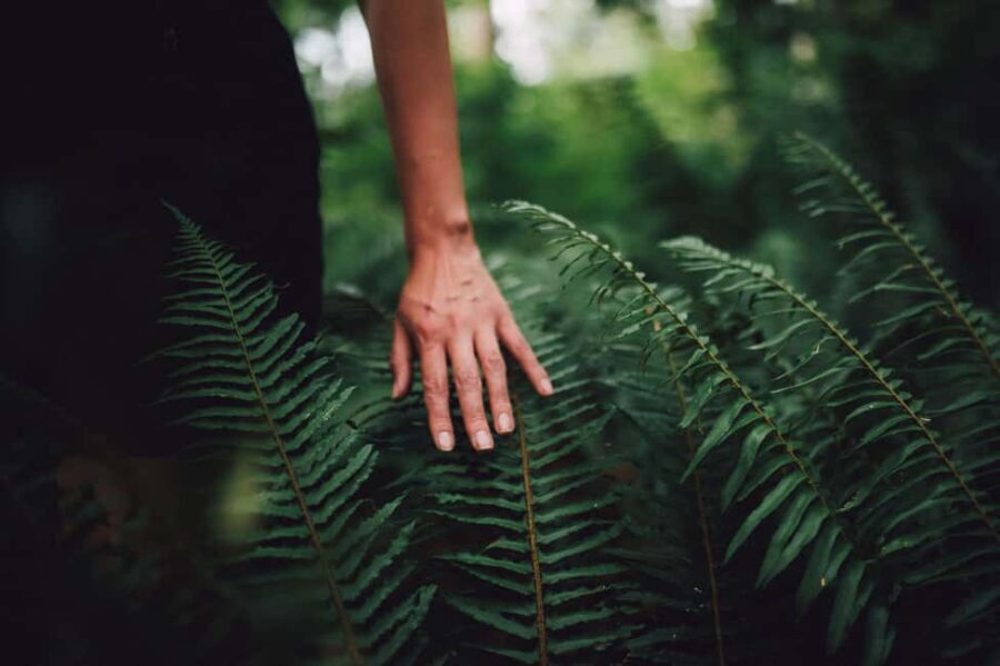Vancouver: Capilano River Hatchery Love the Land Tour - The Experience: What to Expect