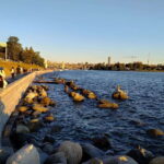 Vancouver Car Tour: See All City Attractions/Save Time&Money - What to Expect from the Tour