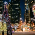 Vancouver Christmas Light Tour private - Analyzing the Value