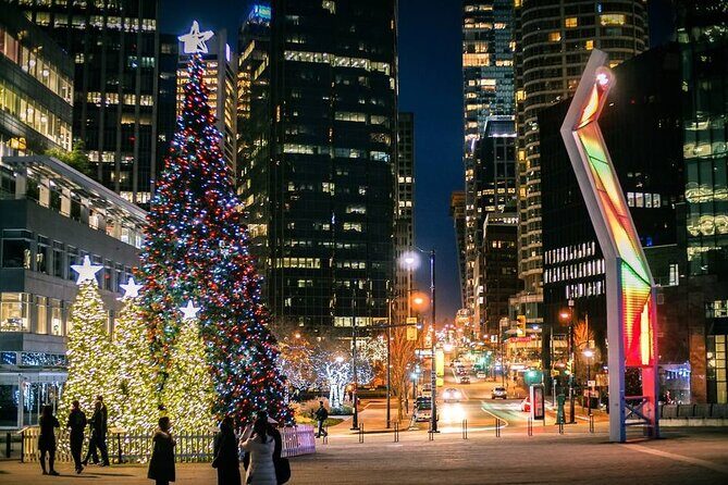 Vancouver Christmas Light Tour private - Analyzing the Value