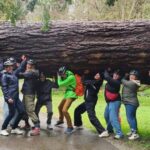 Vancouver: City Bike Tour | E-Bike Upgrade Avail. | 4-Hours - Is It Worth the Price?