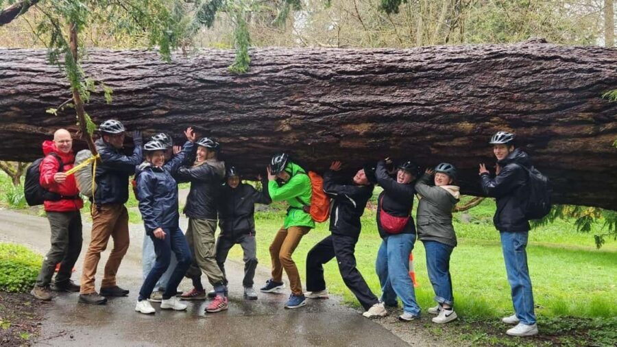 Vancouver: City Bike Tour | E-Bike Upgrade Avail. | 4-Hours - Is It Worth the Price?