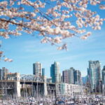Vancouver: City & Granville Island Sightseeing Trolley Tour - Exploring Vancouver’s Must-See Spots