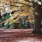 Vancouver City Highlights Explorer Private Tour - The Value of a Private, Fully Customizable Tour