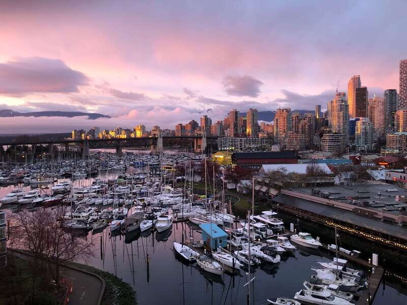 Vancouver: City Highlights Tour with Hotel Transfers - Who Will Love This Tour?
