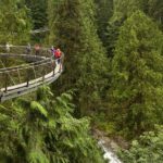 Vancouver City Sightseeing Tour: Capilano Suspension Bridge & Vancouver Lookout - Who Should Take This Tour?