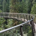 Vancouver City Tour: Capilano Bridge and Stanley Park - Final Thoughts: Who Is This Tour For?