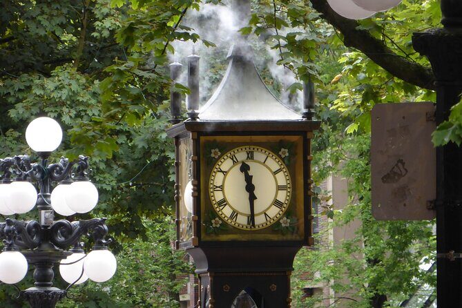 Vancouver City Tour with Admission to Lookout Tower - Who Will Love This Tour?