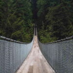 Vancouver: City Tour with Capilano Suspension Bridge - The Full Itinerary Breakdown