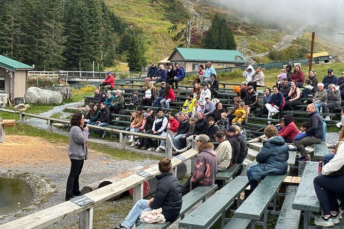 Vancouver City Tour with Food Tasting and Pickup - Transportation and Group Size