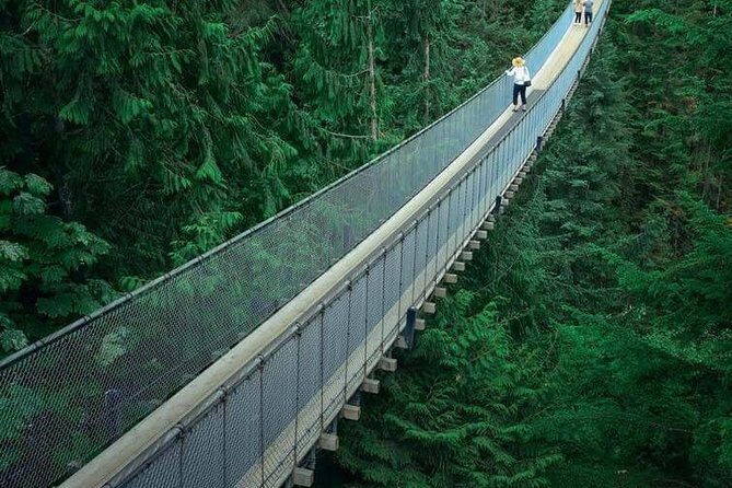 Vancouver City Tour With Stanley, Grouse Mountain & Capillano Suspension Private - The Tour Breakdown: A Day in Vancouver’s Best
