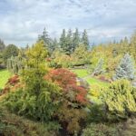 Vancouver City Tour+CAR+Grandville ISL+Queen Elizabeth/China - An In-Depth Look at the Itinerary