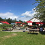 Vancouver: Fraser Valley Wine Tasting Tour - The Itinerary: What to Expect at Each Stop