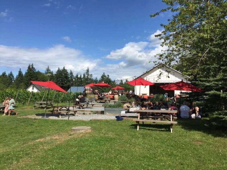 Vancouver: Fraser Valley Wine Tasting Tour - The Itinerary: What to Expect at Each Stop