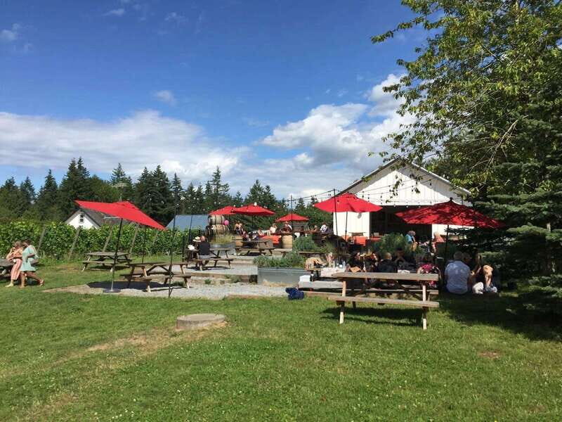 Vancouver: Fraser Valley Wine Tasting Tour - The Itinerary: What to Expect at Each Stop