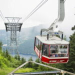 Vancouver: Grouse Mountain Express Tour with Skyride - What the Tour Might Not Offer