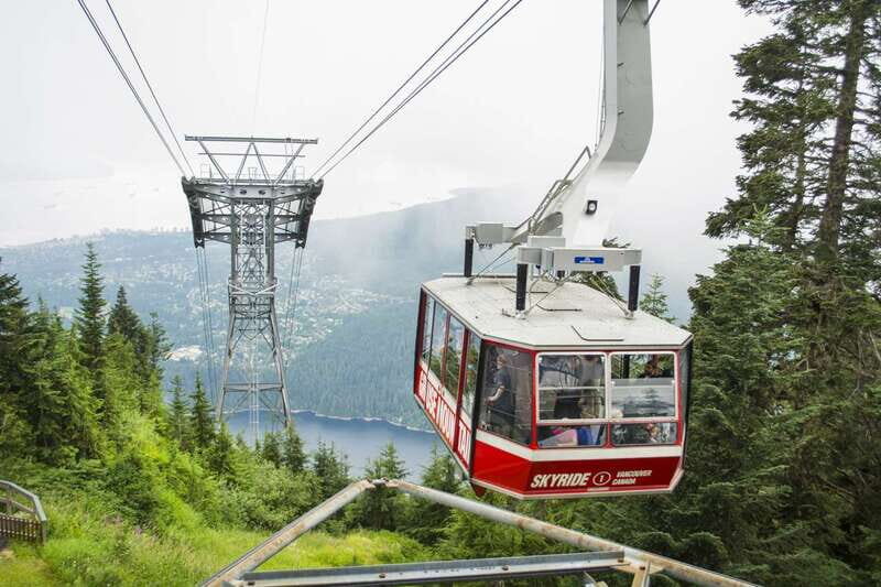 Vancouver: Grouse Mountain Express Tour with Skyride - What the Tour Might Not Offer