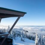 Vancouver Grouse Mountain & Granville Island Tour - What Makes This Tour Special