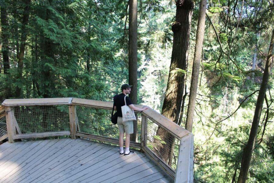 Vancouver Highlights: Capilano Bridge & Granville Island - Transportation, Timing, and Value