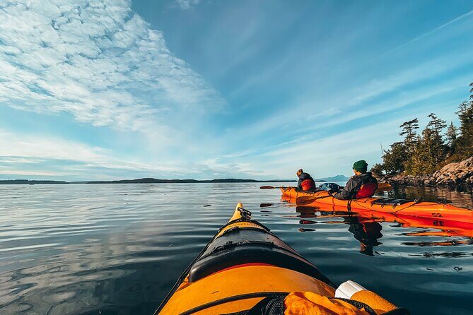 Vancouver Island: 2-Hour Evening Kayak Tour from Telegraph Cove - The Value of This Experience