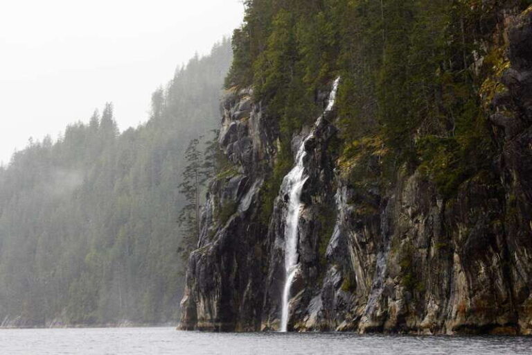 Vancouver Island: Full-Day Grizzly Bear Tour at Toba Inlet - Authenticity and Realistic Expectations