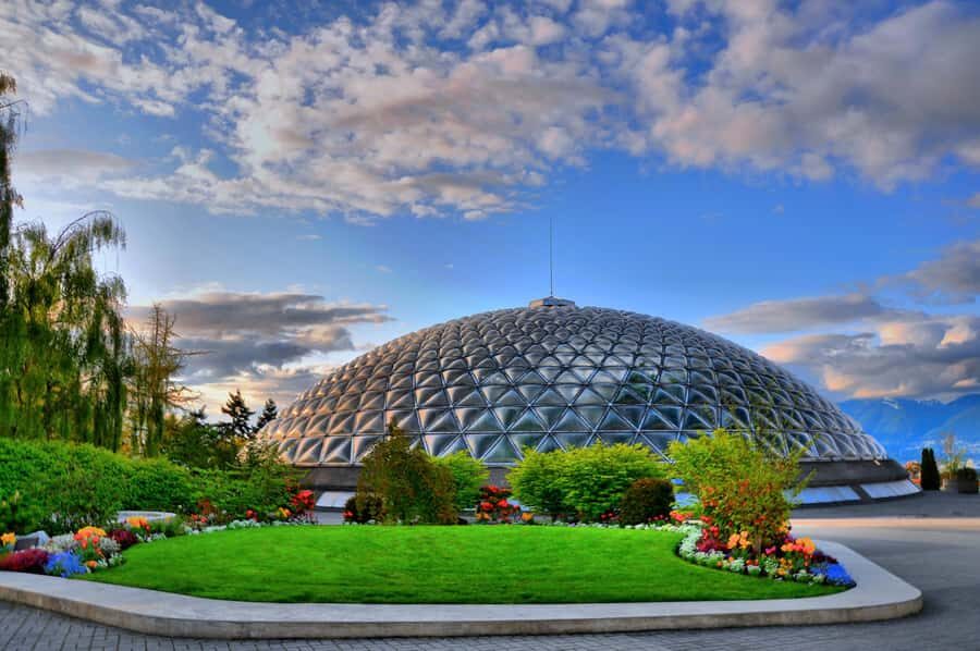 Vancouver Lookout Tower, Capilano Bridge Small Group 12 Tour - An In-Depth Look at the Tour Experience