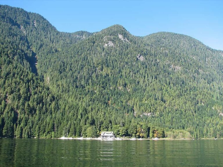 Vancouver: Lunch and Brunch Cruises - Pricing & Value