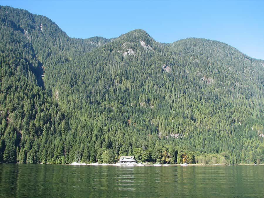 Vancouver: Lunch and Brunch Cruises - Pricing & Value