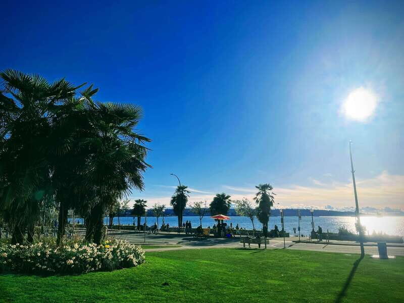 Vancouver Marvels: Private Day Tour Exploring 25 Attractions - Who Will Love This Tour?