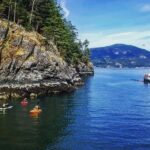 Vancouver: Morning Kayak & Seal Cruise - What to Know Before You Go