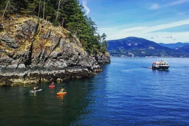 Vancouver: Morning Kayak & Seal Cruise - What to Know Before You Go