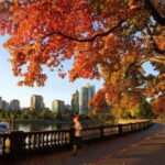 Vancouver : Must-See Attractions Walking Tour With A Guide - The Practical Side: What to Expect