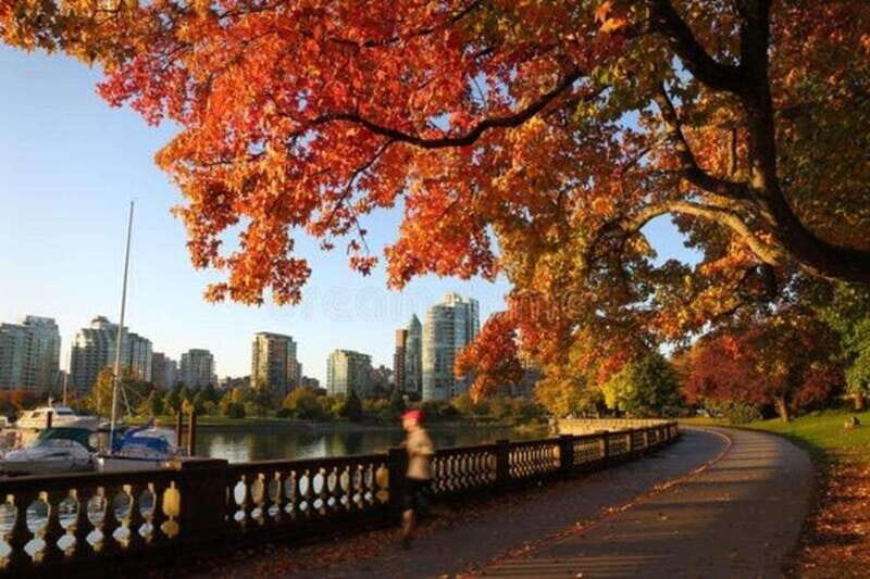 Vancouver : Must-See Attractions Walking Tour With A Guide - The Practical Side: What to Expect
