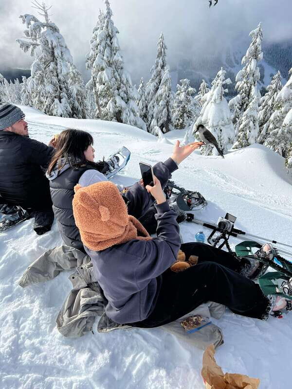 Vancouver: North Shore Mountains Snowshoeing with Transfer - Authentic Experiences from Previous Travelers