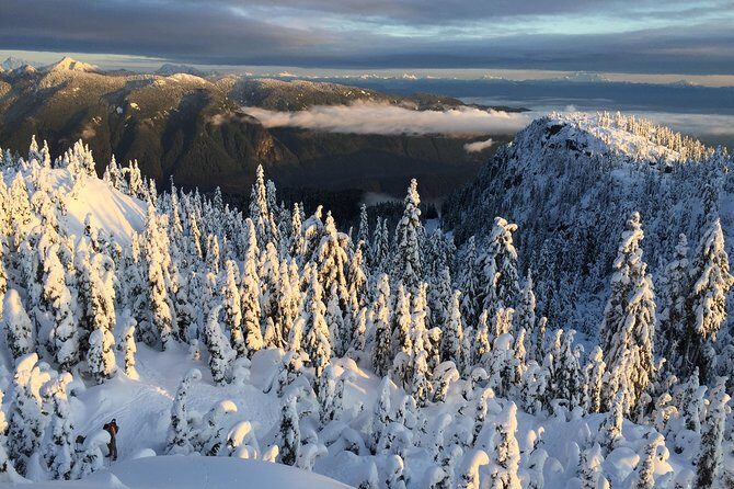 Vancouver Panoramic View Hike - What to Expect on the Snowshoeing Tour