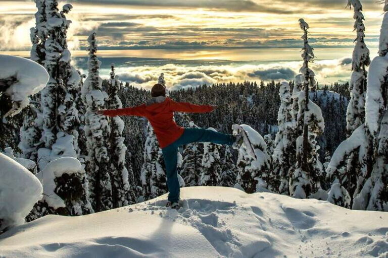 Vancouver: Panoramic View Hiking Tour - What You Can Expect: A Step-by-Step Look