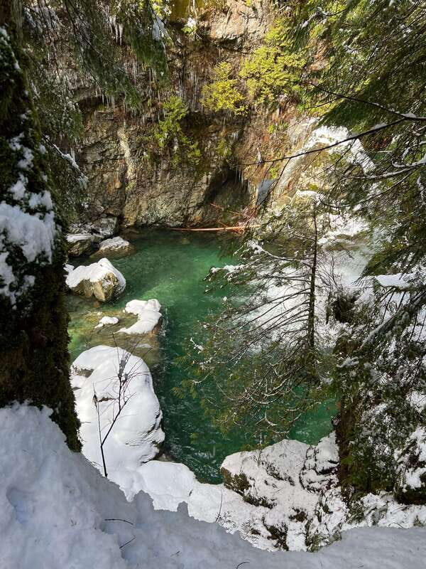 Vancouver: Rainforest Waterfall Hike and Suspension Bridge - The Value of This Tour