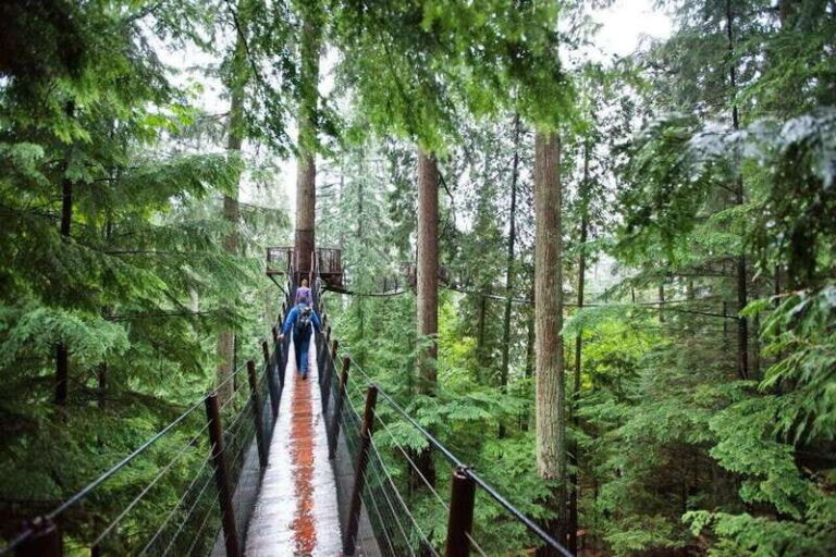 Vancouver: Small Group Tour w/Capilano & Grouse Mtn Lunch - Starting in Downtown Vancouver and Stanley Park
