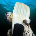 Vancouver: Snorkel, Kayak, and Seal Adventure Boat Tour - Equipment, Comfort, and Practical Details