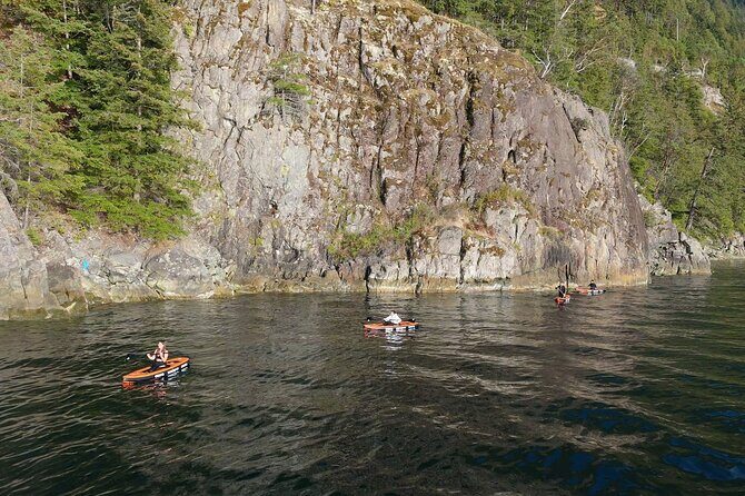 Vancouver: Snorkeling Seals Kayaking Scenic Boat Tour - Final Thoughts: Who Should Consider This Tour?