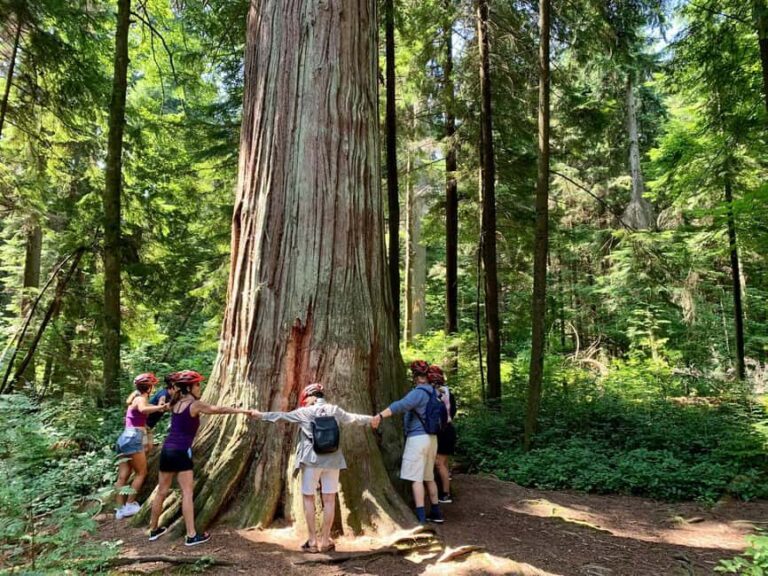 Vancouver: Stanley Park Bike Tour | E-Bike Upgrade Avail. - The Sum Up