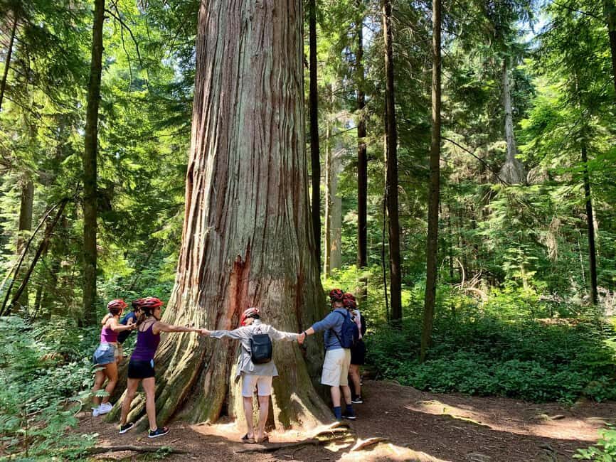 Vancouver: Stanley Park Bike Tour | E-Bike Upgrade Avail. - The Sum Up
